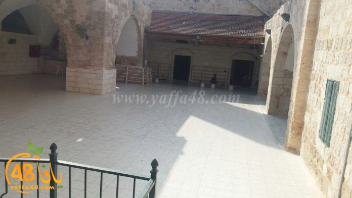 wafd academy luduh3 (4).jpg